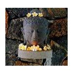 Postcard - Sq Bouddha bust
