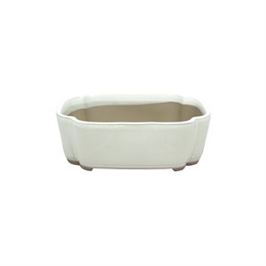 Pot à bonsai - Oval S16.5 /  M18.8 /  L21.5 cm