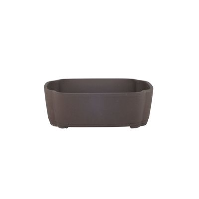Pot à bonsai - Oval S16.5 / M18.8 / L21.5 cm Pot à bonsai - Oval S16.5 / M18.8 / L21.5 cm