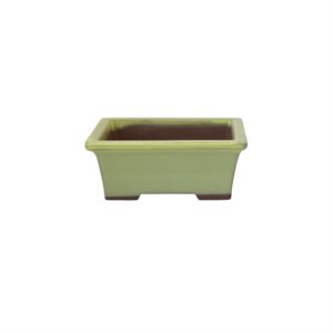 Bonsai Pot - Rectangle S13.5 / M15.5 cm
