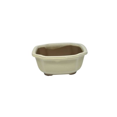 Bonsai Pot - Rectangle S14.5 / M16.5 cm Bonsai Pot - Rectangle S14.5 / M16.5 cm