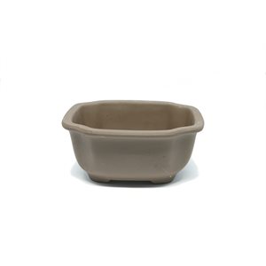 Bonsai Pot - Rectangle S14.5 / M16.5 cm