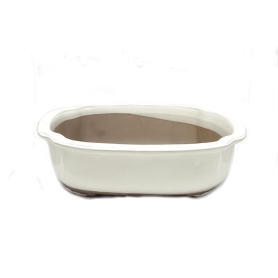 Pot à bonsai - Oval coins concaves S25 / M28 / L31.5 cm