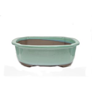 Pot à bonsai - Oval coins concaves S25 / M28 / L31.5 cm