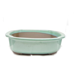 Pot à bonsai - Oval coins concaves S25 / M28 / L31.5 cm