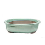 Pot à bonsai - Oval coins concaves S25 / M28 / L31.5 cm