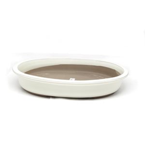 Pot à bonsai - Oval S24.7 /  M28.5 /  L31 /  ....... cm