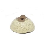 Bonsai Pot - Round 16 x 6.5 cm