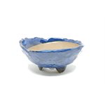 Bonsai Pot - Round 16 x 6.5 cm