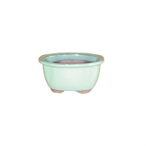 Pot à bonsai - Rectangle  S17 / M20 / L23.5 cm