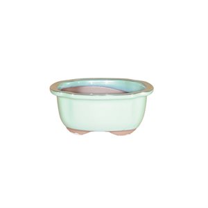 Pot à bonsai - Rectangle  S17 / M20 / L23.5 cm