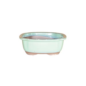 Pot à bonsai - Rectangle  S17 / M20 / L23.5 cm