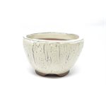 Bonsai Pot - Round 14 x 8.3 cm