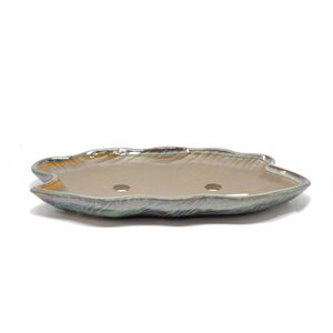 Pot à bonsai - Oval Ondulé S31.5 / M33.5 cm
