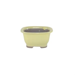 Bonsai Pot - Rectangle 12 x 10.5 x H6.2 cm