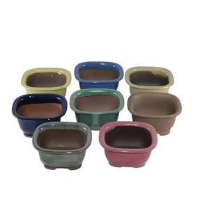 Bonsai Pot - Rectangle 12 x 10.5 x H6.2 cm