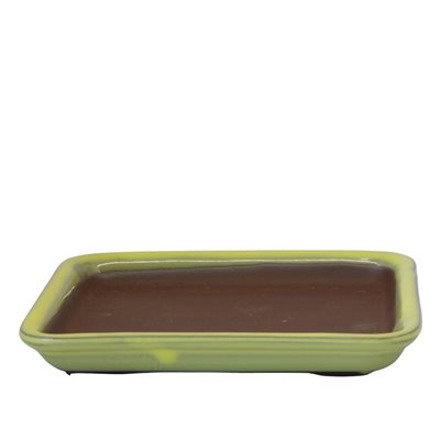 Bonsai Pot - Rectangle Humidity Tray - 13.7 x 11.5 x H1.8 cm Bonsai Pot - Rectangle Humidity Tray - 13.7 x 11.5 x H1.8 cm