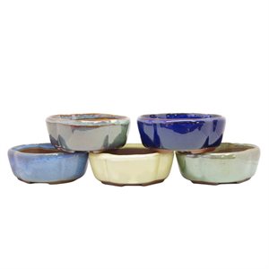 Bonsai Pot - Floriated 11 x 9 x H4 cm