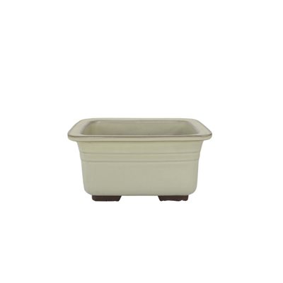 Bonsai Pot - Rectangle S18.3 / M22 cm Bonsai Pot - Rectangle S18.3 / M22 cm