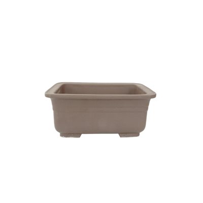 Bonsai Pot - Rectangle S18.3 / M22 cm Bonsai Pot - Rectangle S18.3 / M22 cm