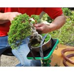 GreenT Professional Table - Mini