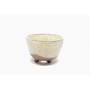 Bonsai Pot - Shigaraki Round Beige / Brown 11.5 x H7.5 cm