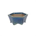 Pot à bonsai - Shibakatsu - Hexagone  8.5 x 4 cm