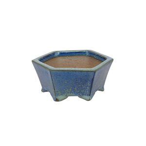 Pot à bonsai - Shibakatsu - Hexagone  8.5 x 4 cm