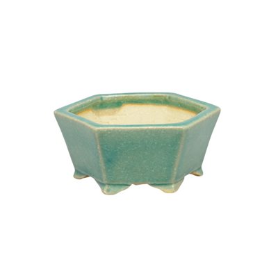 Pot à bonsai - Shibakatsu - Hexagone 8.5 x 4 cm Pot à bonsai - Shibakatsu - Hexagone 8.5 x 4 cm