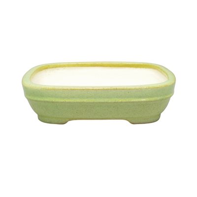 Bonsai Pot - Koyo - Rectangle 18 x 14 x 4 cm Bonsai Pot - Koyo - Rectangle 18 x 14 x 4 cm