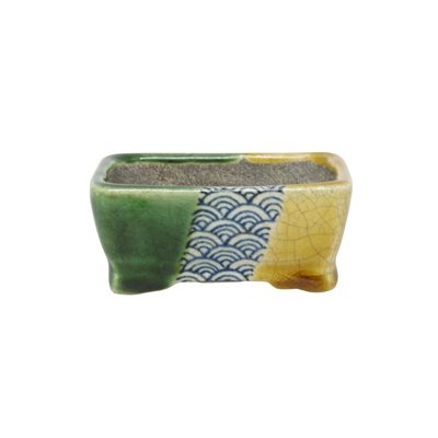 Bonsai Pot - Satomi Terahata - Mame Rectangle 8.5 x 6 x H3.5 Bonsai Pot - Satomi Terahata - Mame Rectangle 8.5 x 6 x H3.5