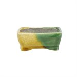Pot à bonsai - Satomi Terahata - Mame Rectangle 8.5 x 6 cm