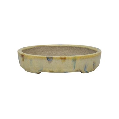 Pot à bonsai - Satomi Terahata - Oval 14 x 11.5 x H3 cm Pot à bonsai - Satomi Terahata - Oval 14 x 11.5 x H3 cm