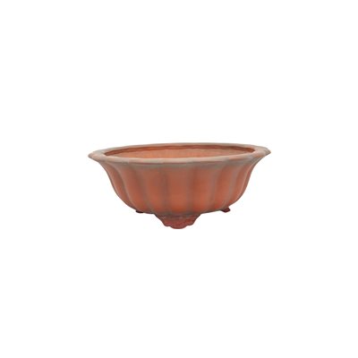 Bonsai Pot - Bigei - Round 25 x H10 cm Bonsai Pot - Bigei - Round 25 x H10 cm