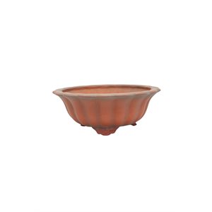 Pot à bonsai - Bigei - Rond 25 x H10 cm