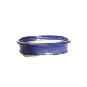 Pot à bonsai - Oval 15.5 x 11 x H4 cm