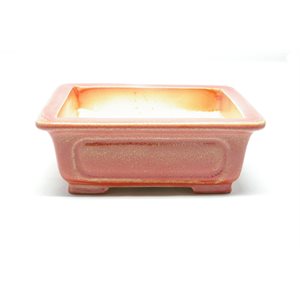 Bonsai Pot - Rectangle 18.5 x 14 x 7 cm