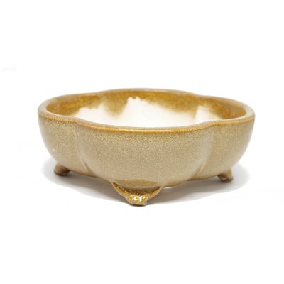 Bonsai Pot - Oval 17 x 14.5 x 6 cm