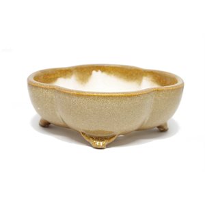Bonsai Pot - Oval 17 x 14.5 x 6 cm
