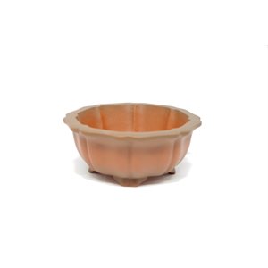 Bonsai Pot - Round 13 x 5 cm