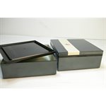 Bento - Wamoyou Blue