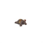 Shigaraki - Tortoise S7 /  M9.5 /  L13 /  XL16 ... cm