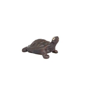 Shigaraki - Tortoise S7 /  M9.5 /  L13 /  XL16 ... cm