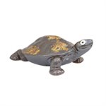Shigaraki - Tortoise S7 /  M9.5 /  L13 /  XL16 ... cm