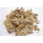 New Zealand Moss (Packed)