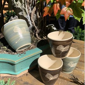 Terramiel Gingko Biloba Longevity Tea Cup