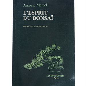 L'esprit du bonsai