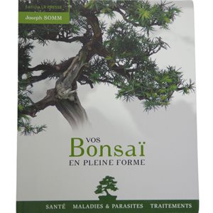 Vos bonsai en pleine forme