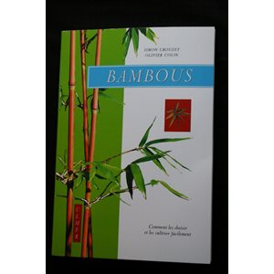 Bambous - Comment cultiver