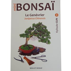 Mini-bonsai - Génévriers - Kyosuke Gun